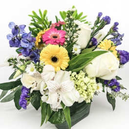 Colorful mixed flower arrangement with gerbera daisies and white roses in a square glass vase