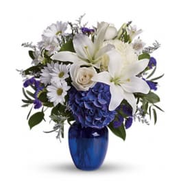 White lilies and daisies arranged with blue hydrangea in a cobalt vase.