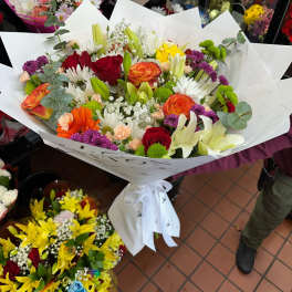 Rose & Eucalyptus Mix Jumbo Special