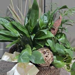 Nature's Garden Planter