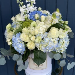 Pretty in Blue
