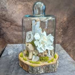 Alba- A Preserved Gardenia Arrangement