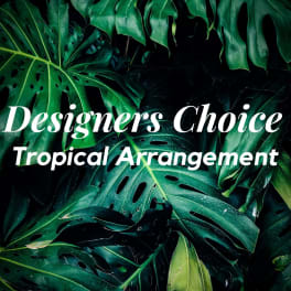 Tropical foliage with text reading Designers Choice Tropical Arrangement