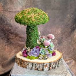 Bramble- Preserved And Permanent Botanical Arrangement
