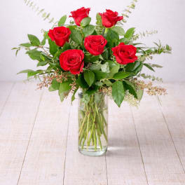 Half Dozen Red Roses