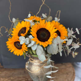 Golden Harvest Sunflower 