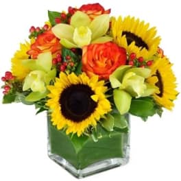 Bouquet of sunflowers, orange roses, and pale green orchids in a glass vase