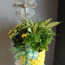 Mixed plants PL106