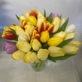 Spring is here