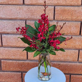 Red orchid arrangement in a clear glass vase with shells at the base