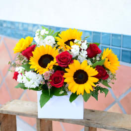 You are my sunshine