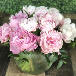 PEONIES IN A BUBBLE BOWL