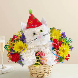 Party Cat #148651