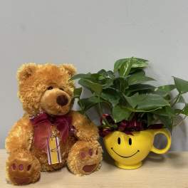 Teddy bear beside a potted plant in a yellow smiley-face mug