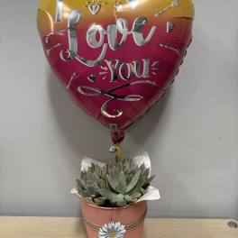 Heart-shaped balloon above a potted succulent arrangement with a decorative flower charm.