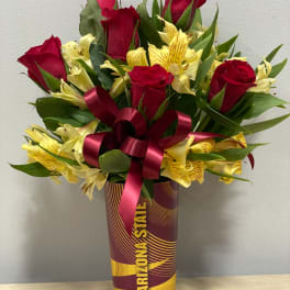 Sun Devil Spark