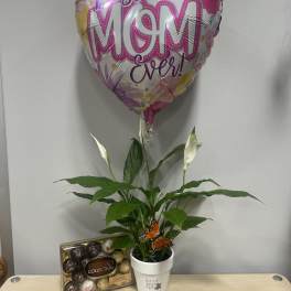 Best Mom Ever #2