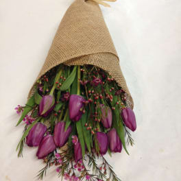 Fields of Lavender