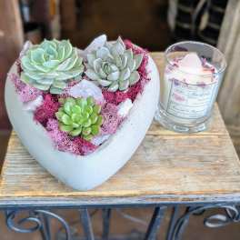 Heart-shaped succulent arrangement beside a glass candle