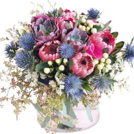 Lasting love proteas