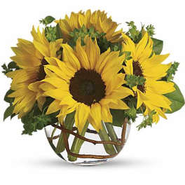 Mom, You Are My Sunshine