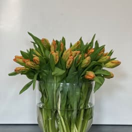 Orange tulips arranged in a clear glass vase