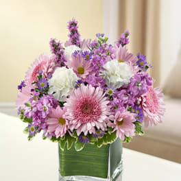 Luscious Lavender