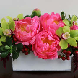 Peony Daydreams