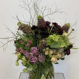Purple Spring Garden