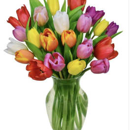 Colorful tulips arranged in a clear glass vase