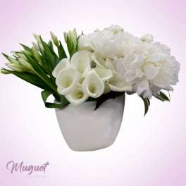 White flowers arranged in a white vase with green buds