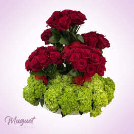 Tiered arrangement of red roses above green hydrangeas