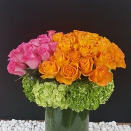 Pink and orange roses arranged in a tall glass vase