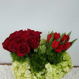 Red roses and red tulips arranged with pale green hydrangeas in a glass vase