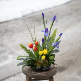 Arrangement of red, yellow, and purple flowers in a low black container
