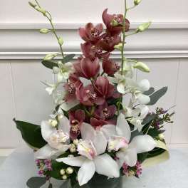 Tall orchid arrangement in a dark green vase with white and burgundy blooms