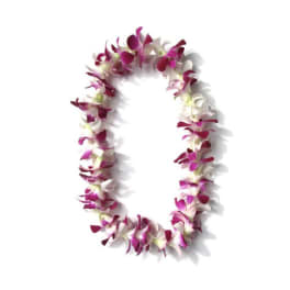 Purple and white orchid lei on a white background