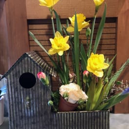 Yellow daffodils arranged in a rustic metal container with a small birdhouse accent.