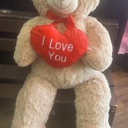 I Love You Bear