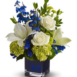 Serenade in Blue