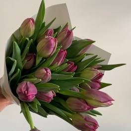 Local Tulips
