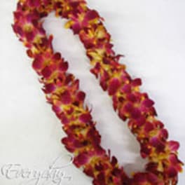 Two magenta and yellow orchid leis on a white background