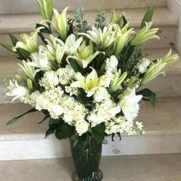 White Elegant Extravaganza