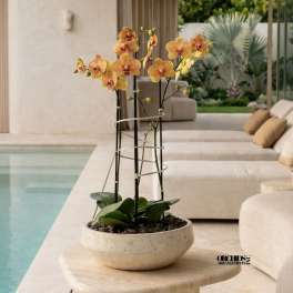 Potted orchid arrangement with yellow-orange blooms in a shallow ceramic bowl