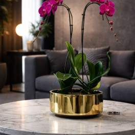 Pink orchids in a gold planter on a marble table