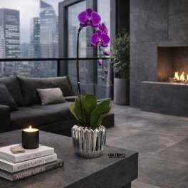 Grand Orchid Miami