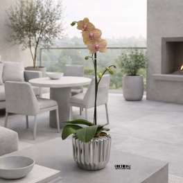 Exclusive Orchid Miami
