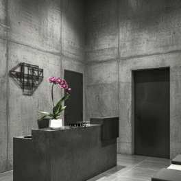 Pink orchid in a white pot on a dark pedestal in a gray room