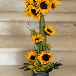 Sunflowers Topiary with 10 Sunflowers nicely arranged.