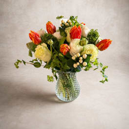 spring beauty